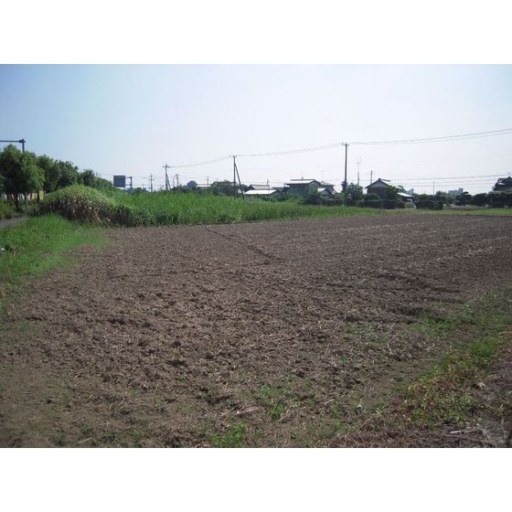 常総市新井木町