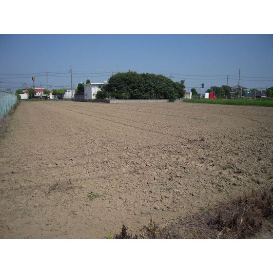 常総市新井木町