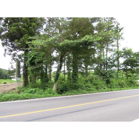 つくば市手代木